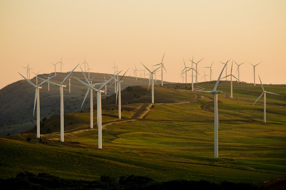 Wind turbines on rolling hills at sunset